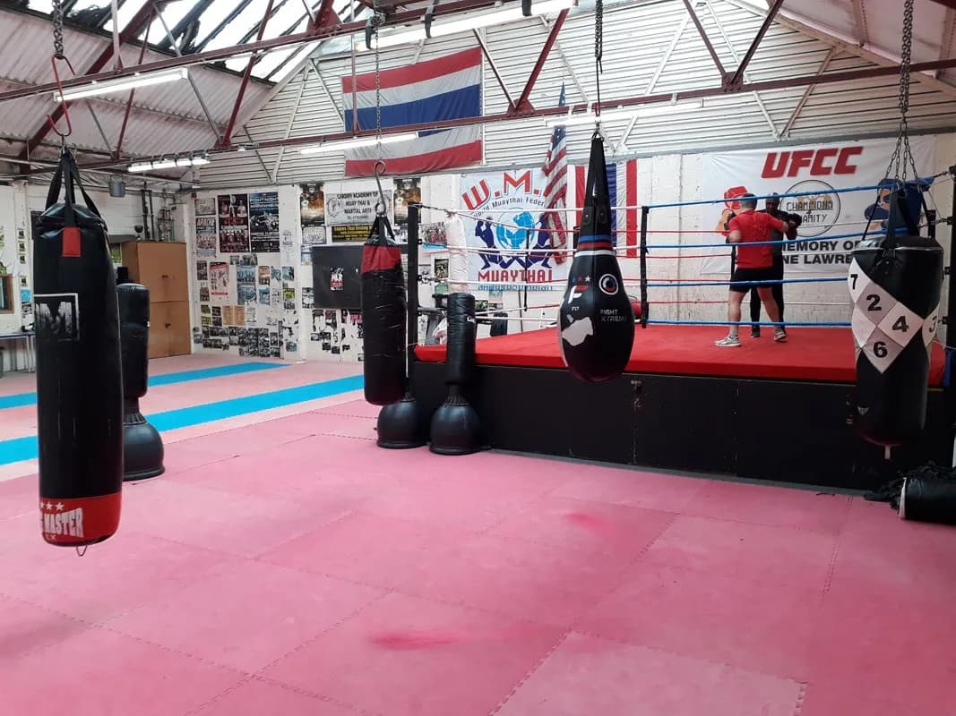 Boxing ring and bags in Room 2
